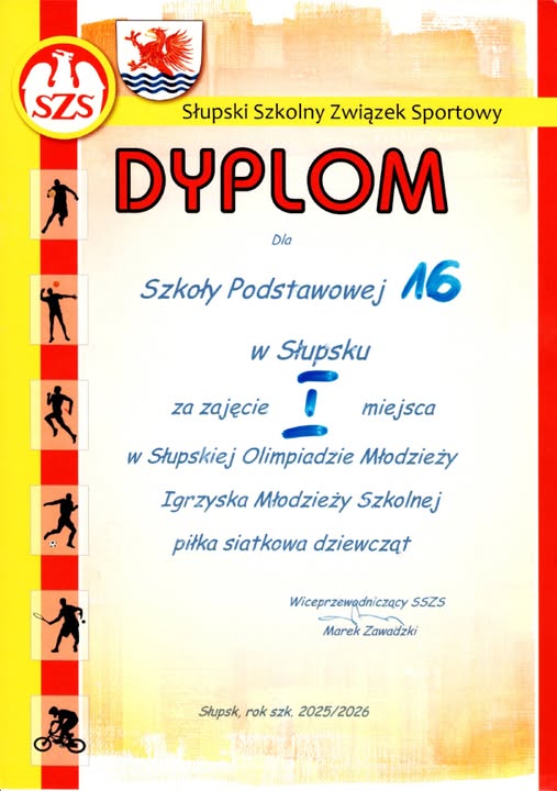 dyplom siatkowka